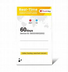 Fresh-key temperature data logger |real-time|No software required |Single use