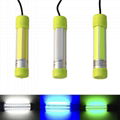 12V 60W COB LED Underwater Deep Drop