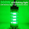 DC12-24V 250W LED Underwater Night Fishing Boat Light Fishing Lure with SUS Cage 2