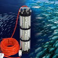 100M Wire 4000W Deep Drop Underwater LED Fishing Light Ocean Night Fishing Light 1