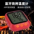 Smart Meat Thermometer 2