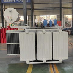 22kv Oil Immersed Transformer 8000kva