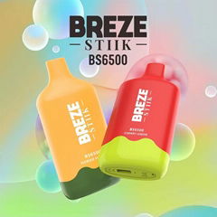 BREZE STIIK BS6500 Vape Disposable Device