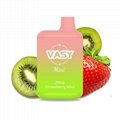 VASY Mini 600 Puffs Disposable Pod Device TPD Approved 2