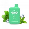 VASY Mini 600 Puffs Disposable Pod Device TPD Approved 5