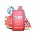 VASY Mini 600 Puffs Disposable Pod Device TPD Approved 3