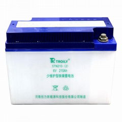 TROILY 鐵鎳電池 5TN210 6V210Ah蓄電池