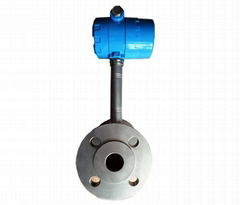 Vortex Flowmeter 