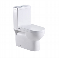 "Two-piece  Toilet Washdown Flushing P-Trap, 180mm Roughing-in"