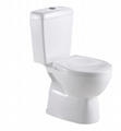 "Two-piece  Toilet Washdown Flushing