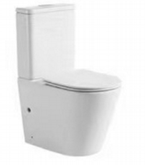 "Two-piece  Toilet Washdown Flushing P-Trap, 180mm Roughing-in"