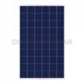 OS-P60-250W~270W Polycrystalline Photovoltaic Panel    3