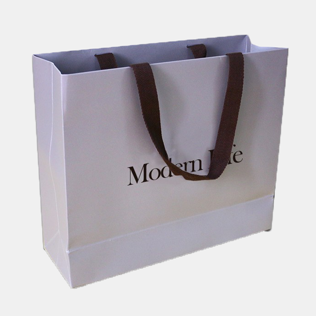 Custom Packaging Premium Printed Carrier Paper Bag for Shopping Affordable Price 4