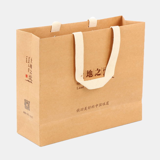 Custom Packaging Premium Printed Carrier Paper Bag for Shopping Affordable Price 5