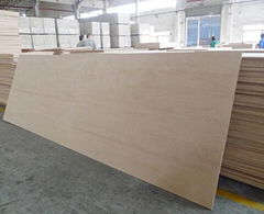 4x10ft and 4x12ft Size,1220m x 3050/3660/3800/4100 mm Plywood China Manufacturer