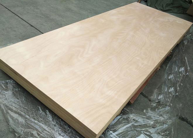 4x10ft and 4x12ft Size,1220m x 3050/3660/3800/4100 mm Plywood China Manufacturer 2