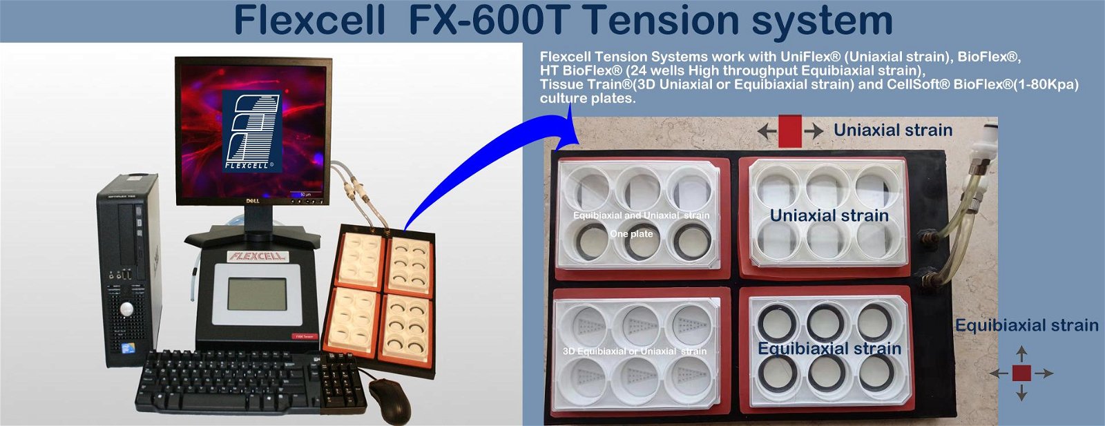 Flexcell® FX-2000,FX-3000,FX-4000,FX-5000,FX-6000 Tension System 3