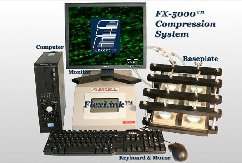 flexcell fx-5000c compression system