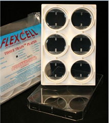 flexcell Linear Tissue Train plates