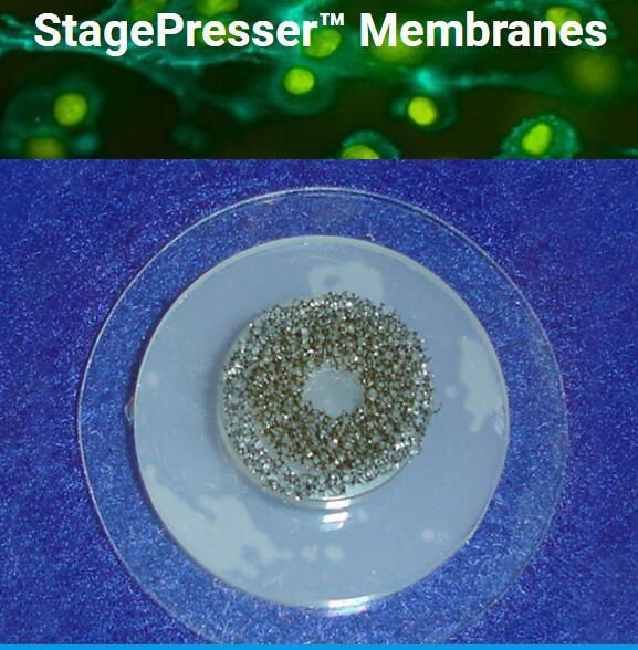 flexcell biopress culture plates,flexcell compression culture plates 3