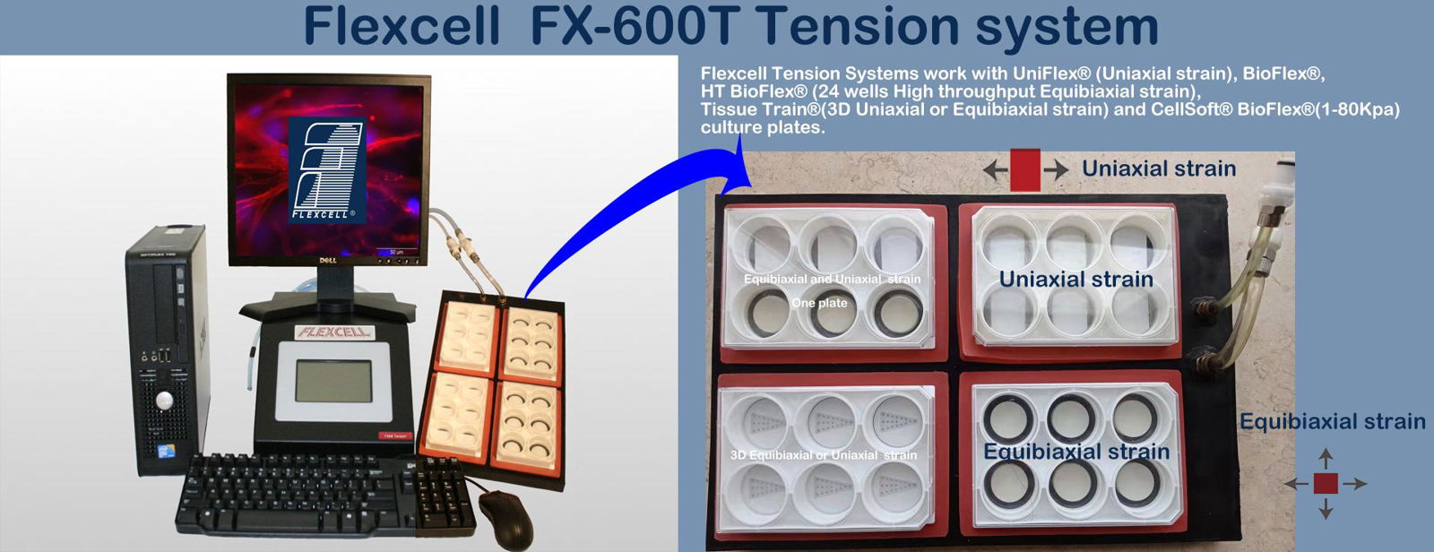 flexcell bioflex tension system,flexcell uniflex tension system,