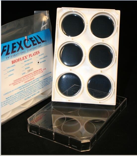 flexcell bioflex tension system,flexcell uniflex tension system, 2