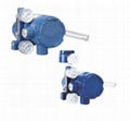 AVP300/AVP301/AVP302 series Smart Valve