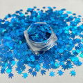 Christmas decoration DIY glitter, laser color leaf glitter powder sequins 4