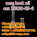 New BMK Oil Sample Free BMK CAS 20320-59-6 1