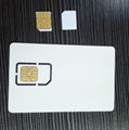 Factory Price 3G WCDMA 4G LTE Nano Test SIM Card for Agilent8960 1