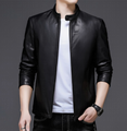 Middle-aged men's spring and autumn stand-up collar leather jacket dad wear tren 4