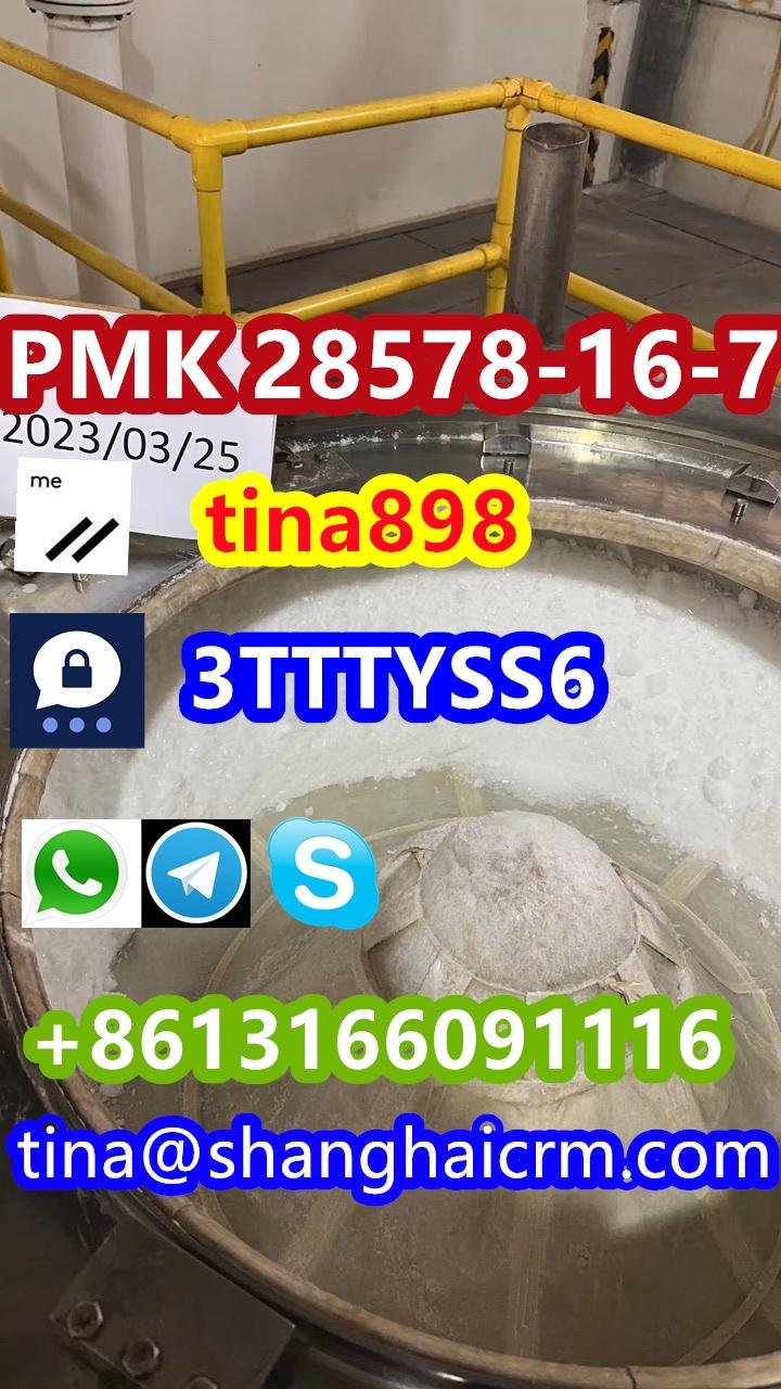 Factory High Quality PMK Powder PMK Oil CAS 28578-16-7 2