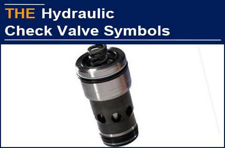 A Small Hydraulic Check Valve Symbol Nearly Killed the Hydraulic Valve Maker