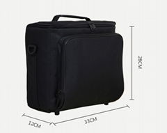 Projector bag