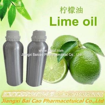 Wholesale Aromatherapy Essential Oil Bulk Rose Oil / Tea Tree / Eucalyptus / Lem 4