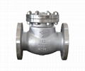 CHECK VALVES 1