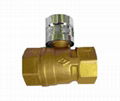 BRASS BALL VALVES 1