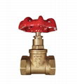 BRASS GLOBE VALVES