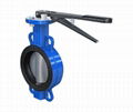 BUTTERFLY VALVES 1