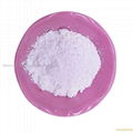 Casein / Sodium Caseinate68131-51-1 2