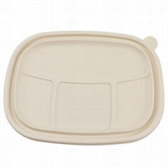 take away bento box meal container biodegradable fast food lunch boxes with lid