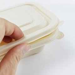 biodegradable packaging bento lunch box  food container