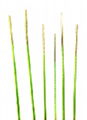 芯棒润滑PTFE耐磨涂层