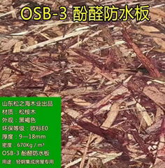   山东厂家直供防水.防潮木屋板材OSB欧松板