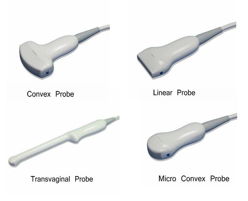 Portable B/W Ultrasound Scanner with Clear Image Quality 4