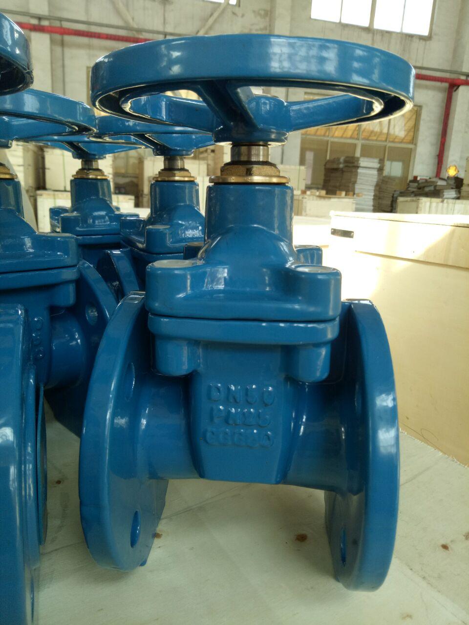 PN25 resilient seated gate valve 2