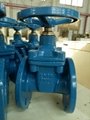 PN25 resilient seated gate valve