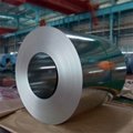 Factory supply Galvanized Steel Coil 4