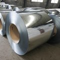 Factory supply Galvanized Steel Coil 5