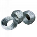 Galvanized Iron Wire